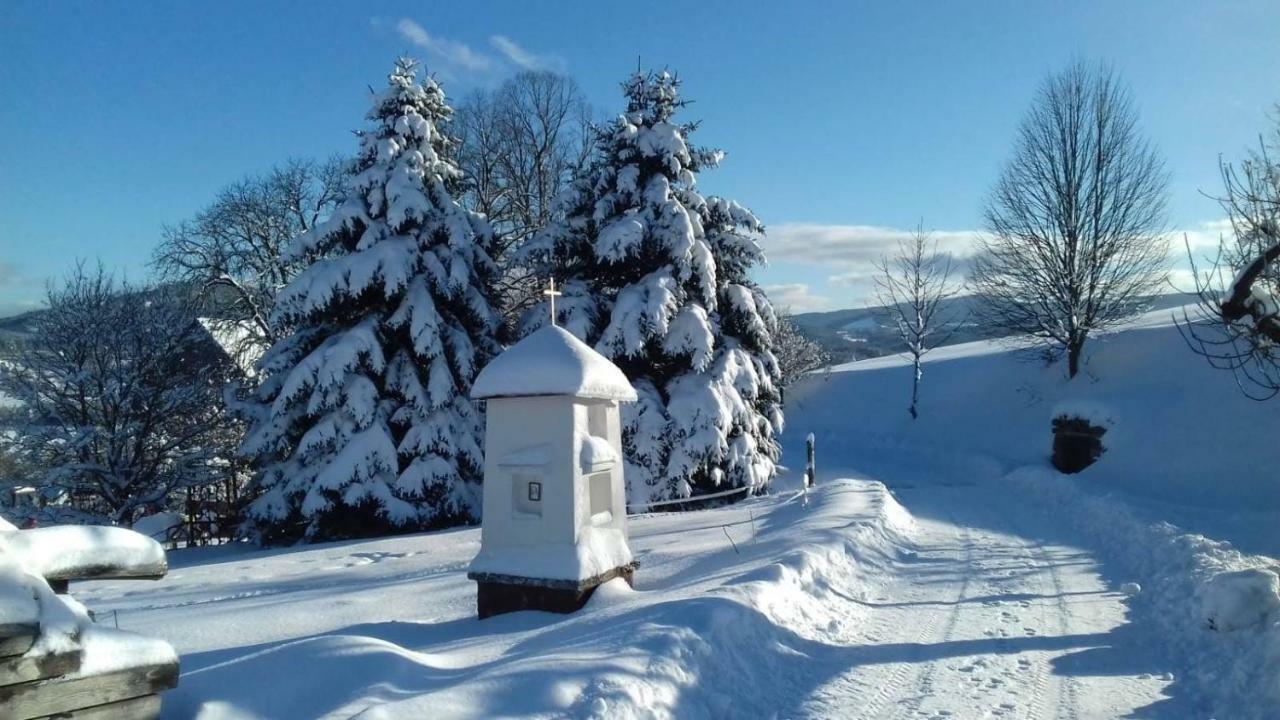Stylová chalupa na kraji národního parku Šumava Strunkov Exterior foto
