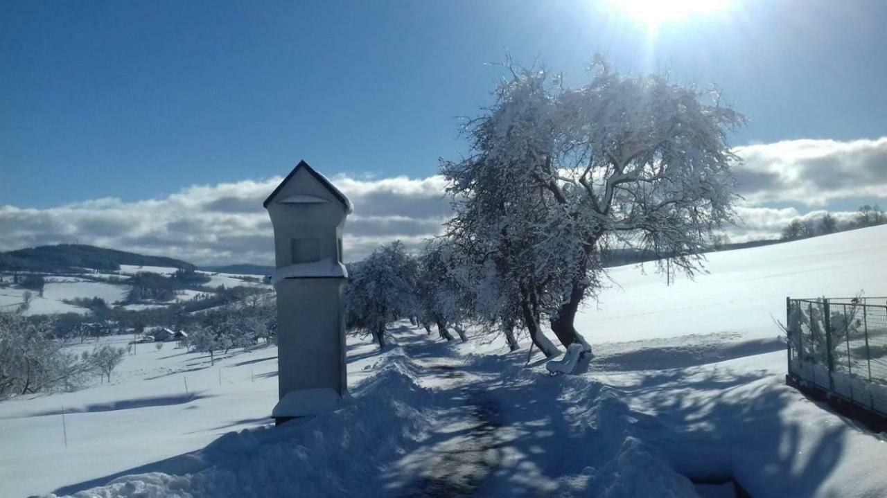 Stylová chalupa na kraji národního parku Šumava Strunkov Exterior foto